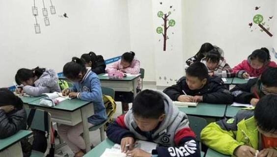 (教育问答）2020上海升学新政策