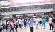 (育儿百科）【网络用语李涛是什么意思】兔区李涛是什么意思